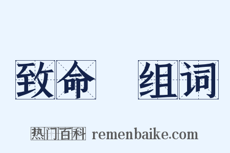 致命傷组词是什么意思的图片